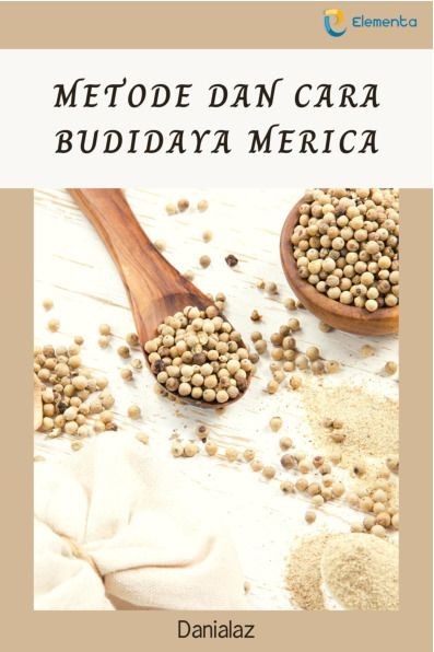 Metode dan Cara Budidaya Merica